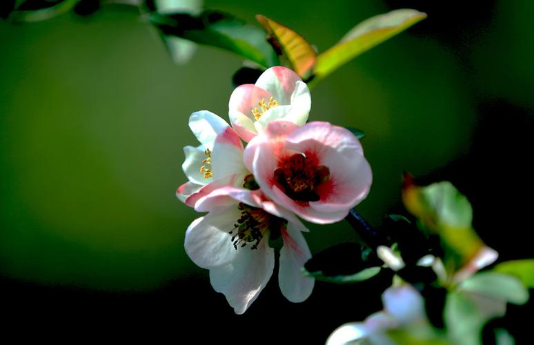 菠菜交流平台(菠菜数据交易中心)